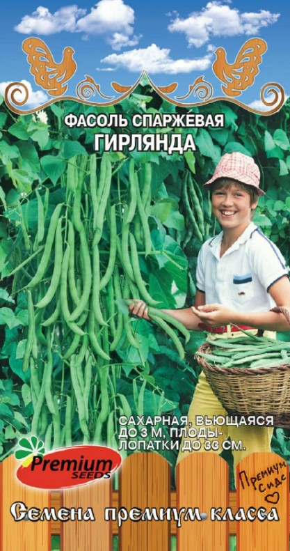 Фасоль_Гирлянда (вьющ спарж зел)_4_г._Премиум Сидс