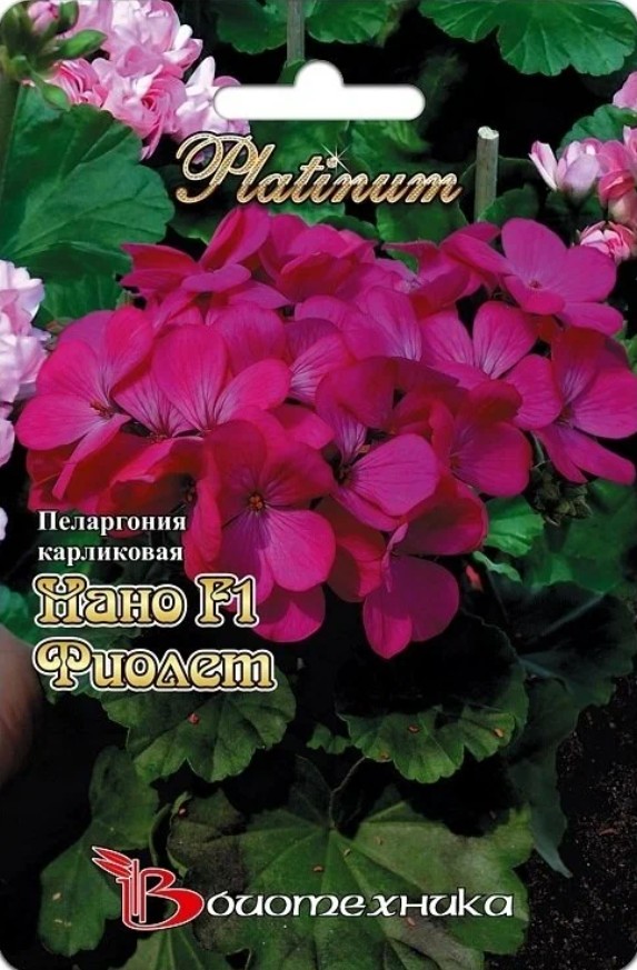 Герань (Пеларгония)_Нано F1 Виолет (карликовая )_5_шт._Биотехника