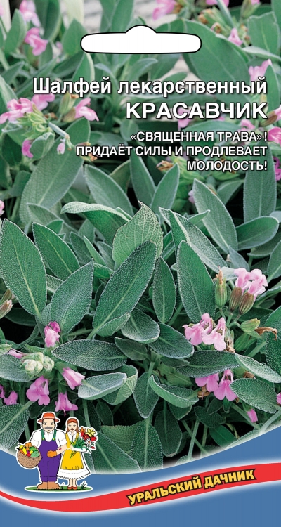 Шалфей_лекарственный Красавчик_0,1_г._Уральский Дачник