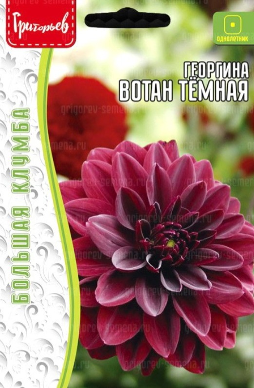 Георгин_Вотан Темная (Wotan Dark Leaf) б/ф_15_шт._Григорьев