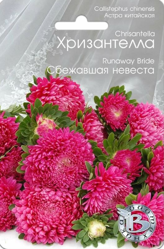Астра_Хризантелла Сбежавшая невеста_0,04_шт._Биотехника