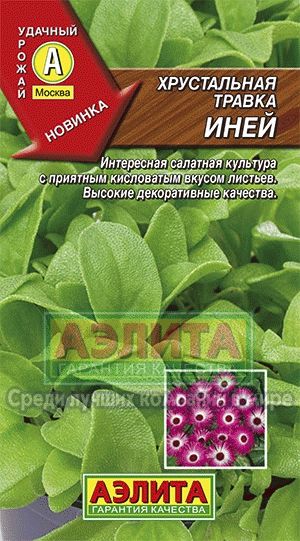 Хрустальная травка_Иней_0_г._Аэлита