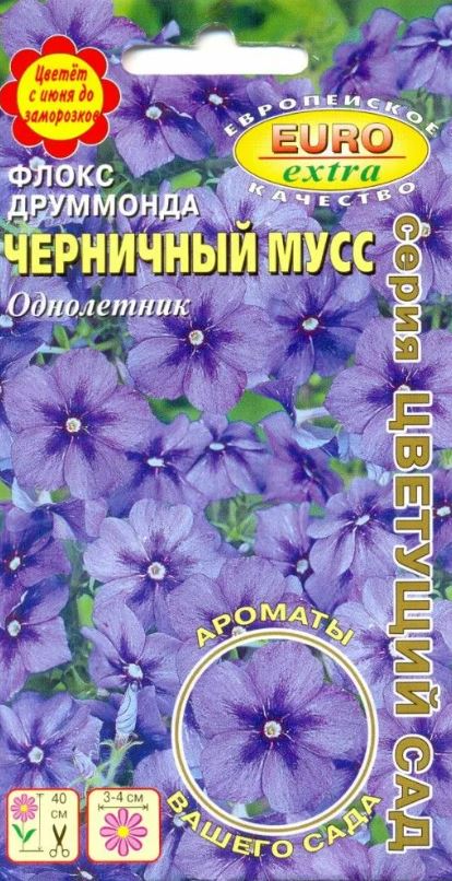Флокс_Черничный Мусс_0,04_г._Аэлита Э
