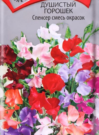 Горошек_Многолетний см_0,3_г._Поиск