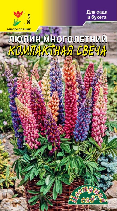 Люпин_Компактная Свеча см_0,2_г._Цветущий Сад