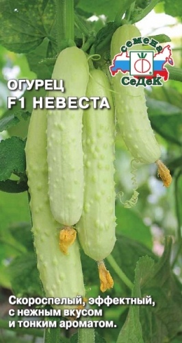 Огурец_Невеста F1_0,3_г._Седек