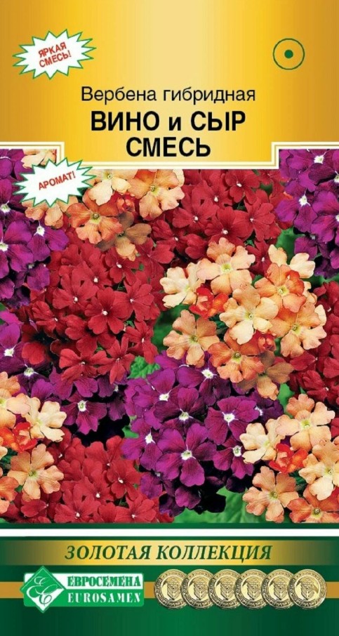 Вербена_Вино и Сыр см (Золотая Коллекция)_10_шт._ЕВРОСЕМЕНА