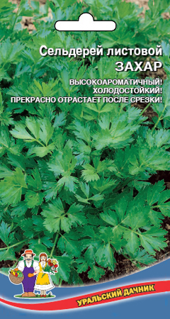 Сельдерей_Захар (листовой)_0,3_г._Уральский Дачник