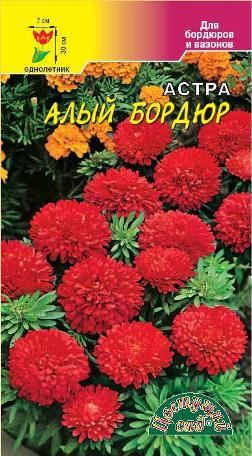 Астра_Бордюр Алый (низкорослая)_0,2_г._Цветущий Сад