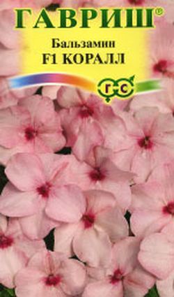 Бальзамин_Коралл F1 (Уоллера)_5_шт._Гавриш