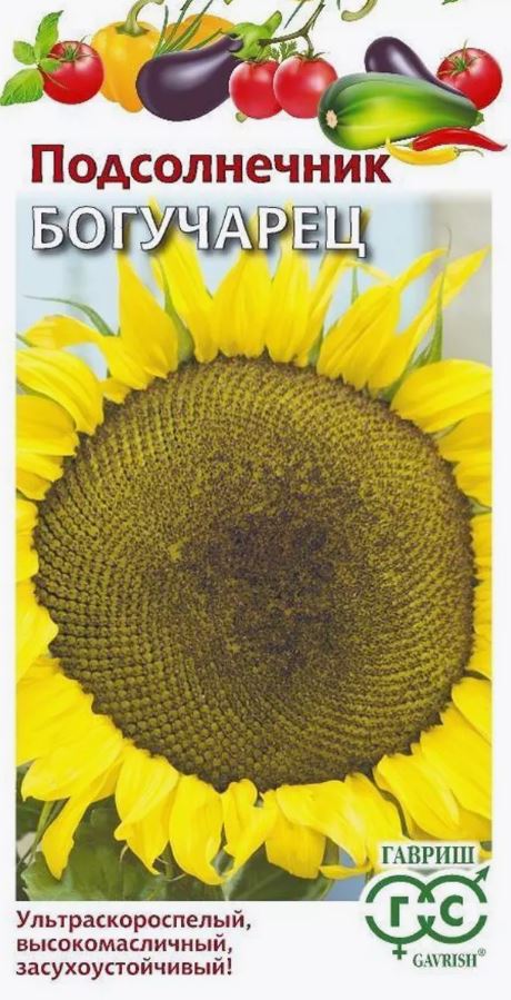 Подсолнечник_Богучарец (тип Битюг)_0,04_г._Гавриш