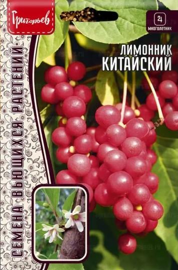 Лимонник_Китайский (Schizandra chinensis) б/ф_5_шт._Григорьев
