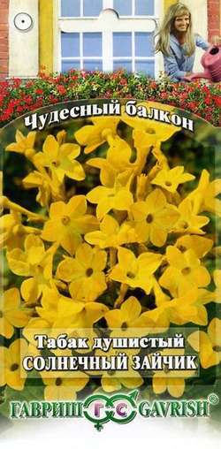 Табак душистый_Солнечный Зайчик Желтый (Чудесный балкон)_0,1_г._Гавриш