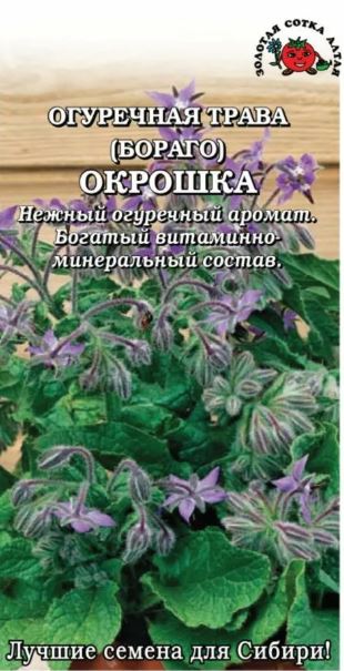 Огуречная трава_Бораго Окрошка_0,04_г._Золотая Сотка Алтая