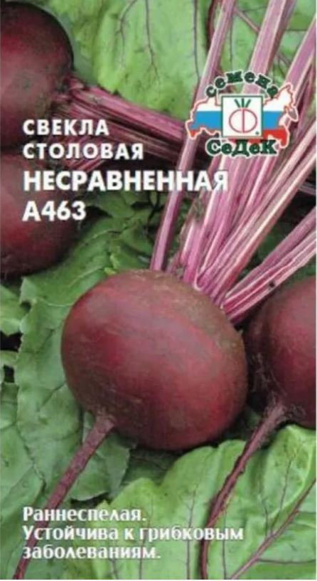 Свекла_Несравненная А463_3_г._Седек