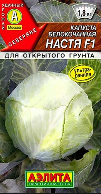Капуста_б/к_Настя F1 (Северяне)_0,04_г._Аэлита