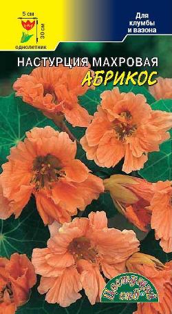 Настурция_Абрикос (куст)_1_г._Цветущий Сад
