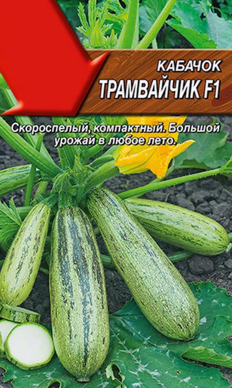 Кабачок_Трамвайчик F1 (цуккини)_0,04_шт._Аэлита