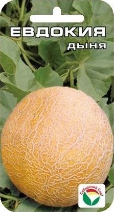 Дыня_Евдокия_7_шт._Сибирский Сад