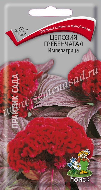 Целозия_Императрица (гребенчатая)_0,1_г._Поиск
