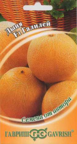 Дыня_Галилей F1 ср_15_шт._Гавриш