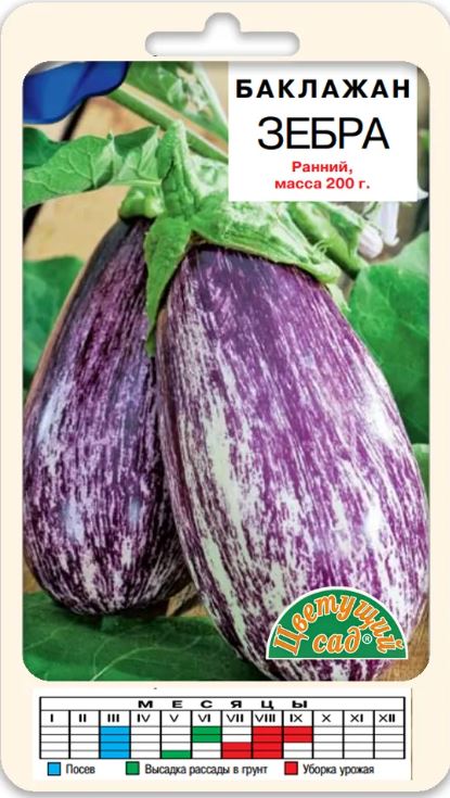 Баклажан_Зебра_0,04_г._Цветущий Сад