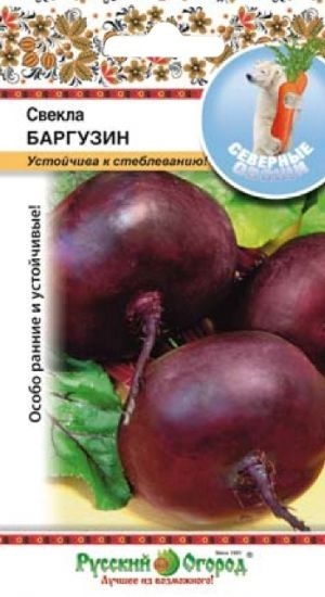 Свекла_Баргузин_3_г._НК