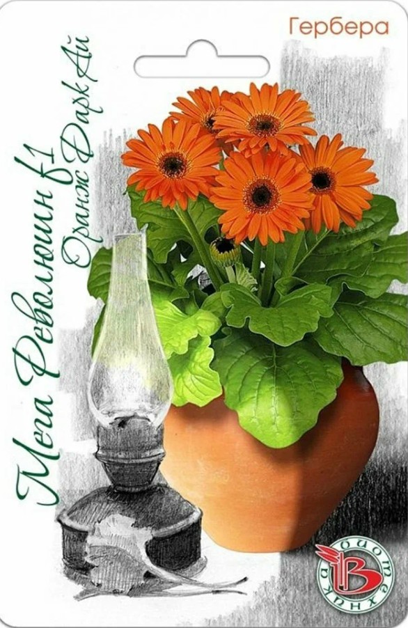 Гербера_Мега Революшн F1 Оранж Дарк Ай_5_шт._Биотехника
