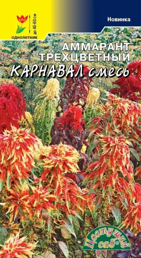 Амарант_Трехцветный Карнавал см_0,2_г._Цветущий Сад