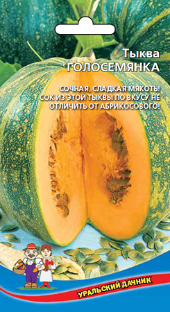 Тыква_Голосемянная_5_шт._Уральский Дачник