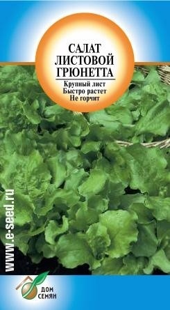 Салат китеж. Салат листовой Грюнетта. Салат Китеж листовой. Салат листовой сорта с фото. Семена салат Китеж.
