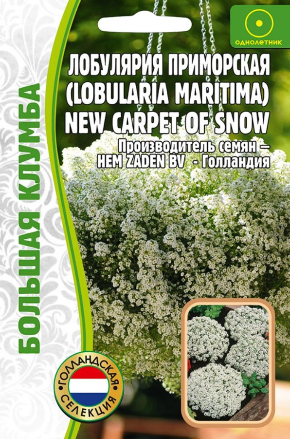 Алиссум (лобулярия)_New Carpet of Snow б/ф_500_шт._Григорьев