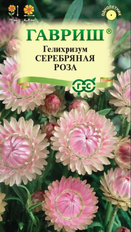 Гелихризум (бессмертник)_Серебряная роза_0,01_г._Гавриш