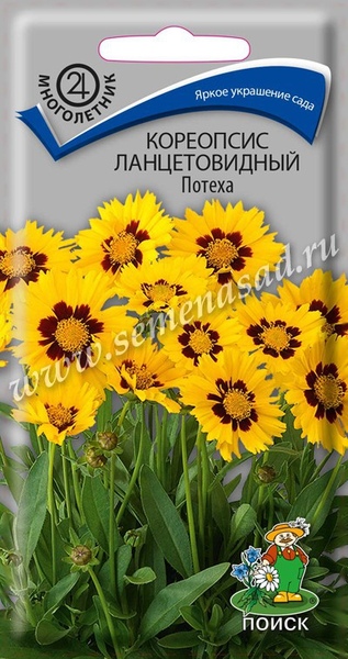 Кореопсис_Потеха_0,1_г._Поиск