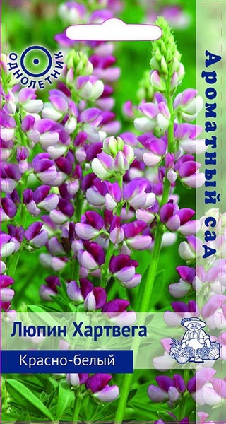 Люпин_Красно-белый_0,2_г._Поиск