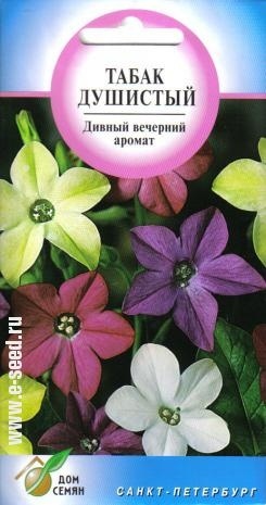 Табак душистый_Тинкебелл см_250_шт._Дом Семян С-П