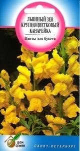Львиный зев (антирринум)_Канарейка (жёлтый)_505_шт._Дом Семян С-П