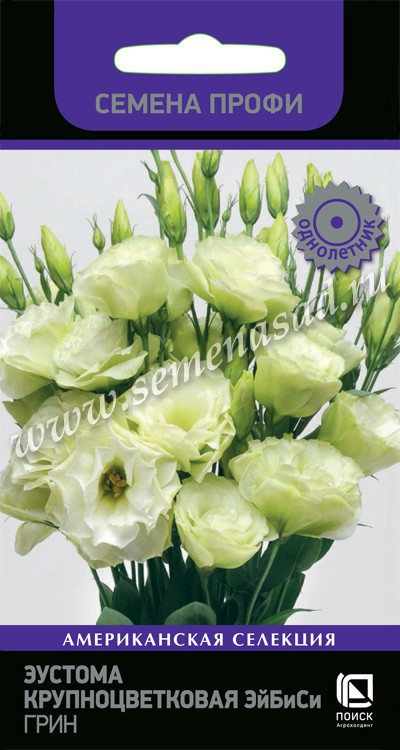 Эустома (Лизиантус)_ЭйБиСи Грин (махр)_10_шт._Поиск