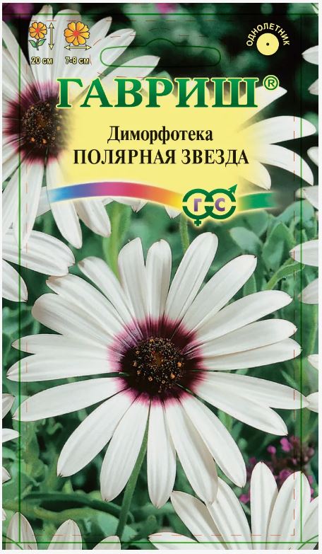 Диморфотека_Полярная звезда_0,1_г._Гавриш