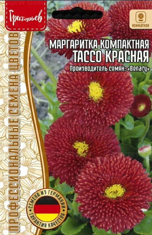 Маргаритка_Тассо Красная б/ф_5_шт._Григорьев