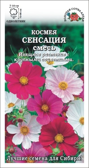 Космея_Сенсация см_0,3_г._Золотая Сотка Алтая