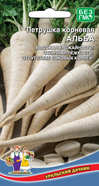 Петрушка_Альба (корневая)_2_г._Уральский Дачник