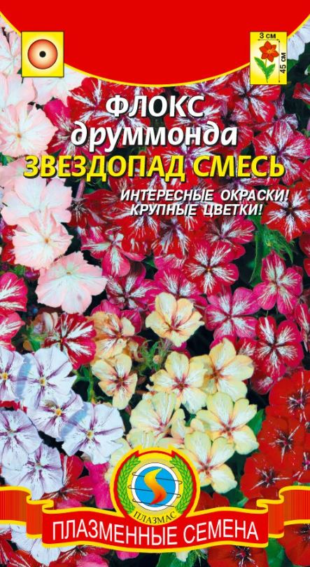 Флокс_Звездопад см_0,04_г._Плазменные семена