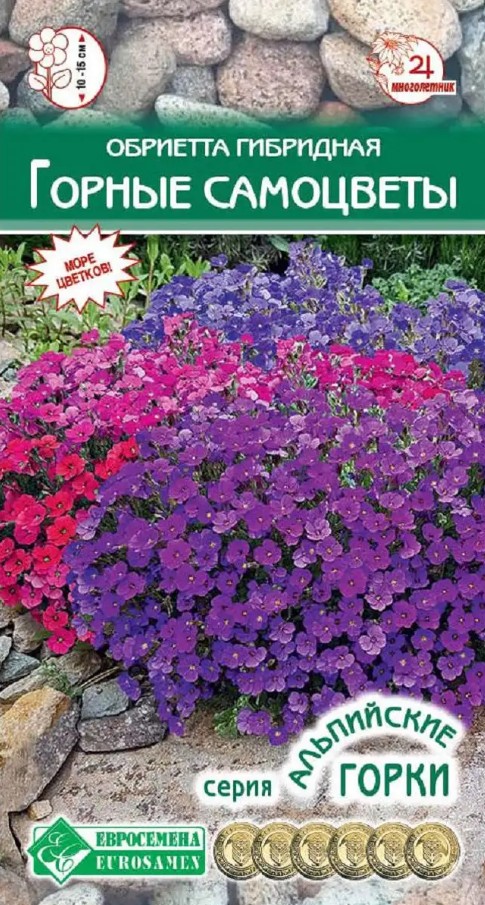 Обриета (аубреция)_Горные Самоцветы см (альпийская горка)_0,06_г._ЕВРОСЕМЕНА