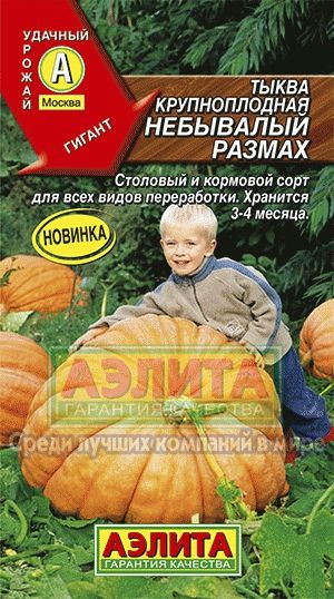 Тыква_Небывалый размах_2_г._Аэлита