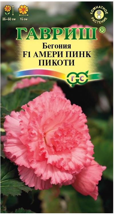 Бегония_Амери Пинк Пикоти F1 (клубн гофр)_4_шт._Гавриш