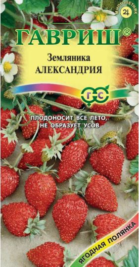 Земляника_Александрия_0,03_г._Гавриш