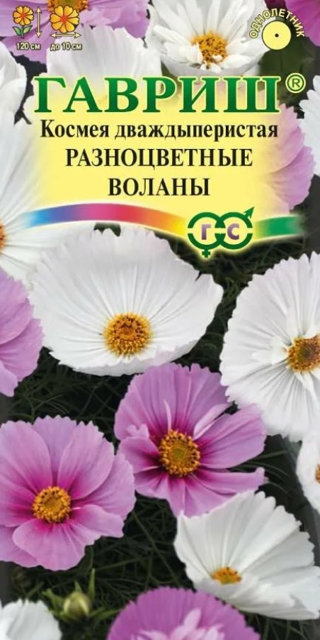 Космея_Разноцветные Воланы см_0,04_г._Гавриш