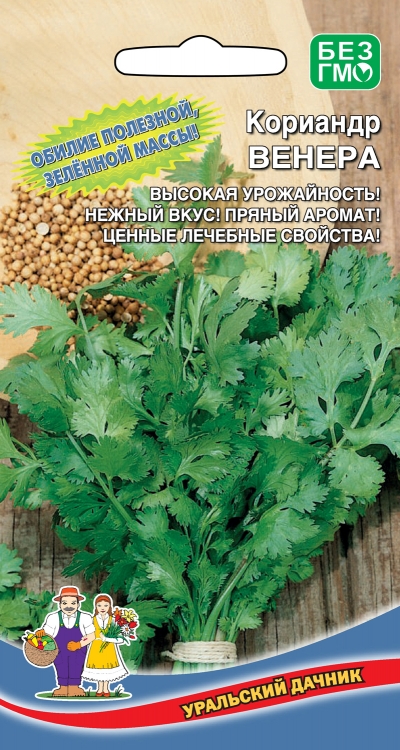 Кориандр (кинза)_Венера_1_г._Уральский Дачник