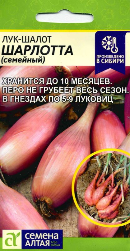 Лук_Шарлотта шалот_0,04_г._Семена Алтая